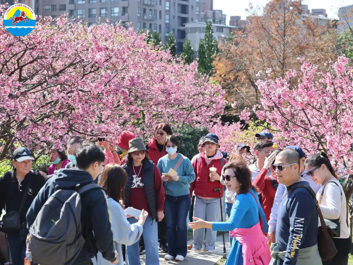 Các tour của Phan Văn Travel cam kết mang đến lịch trình chuẩn chỉnh