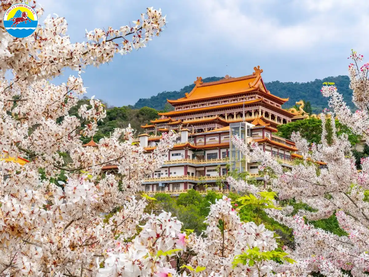 Khí hậu tháng 1 tại Đài Loan dao động từ 10°C - 18°C