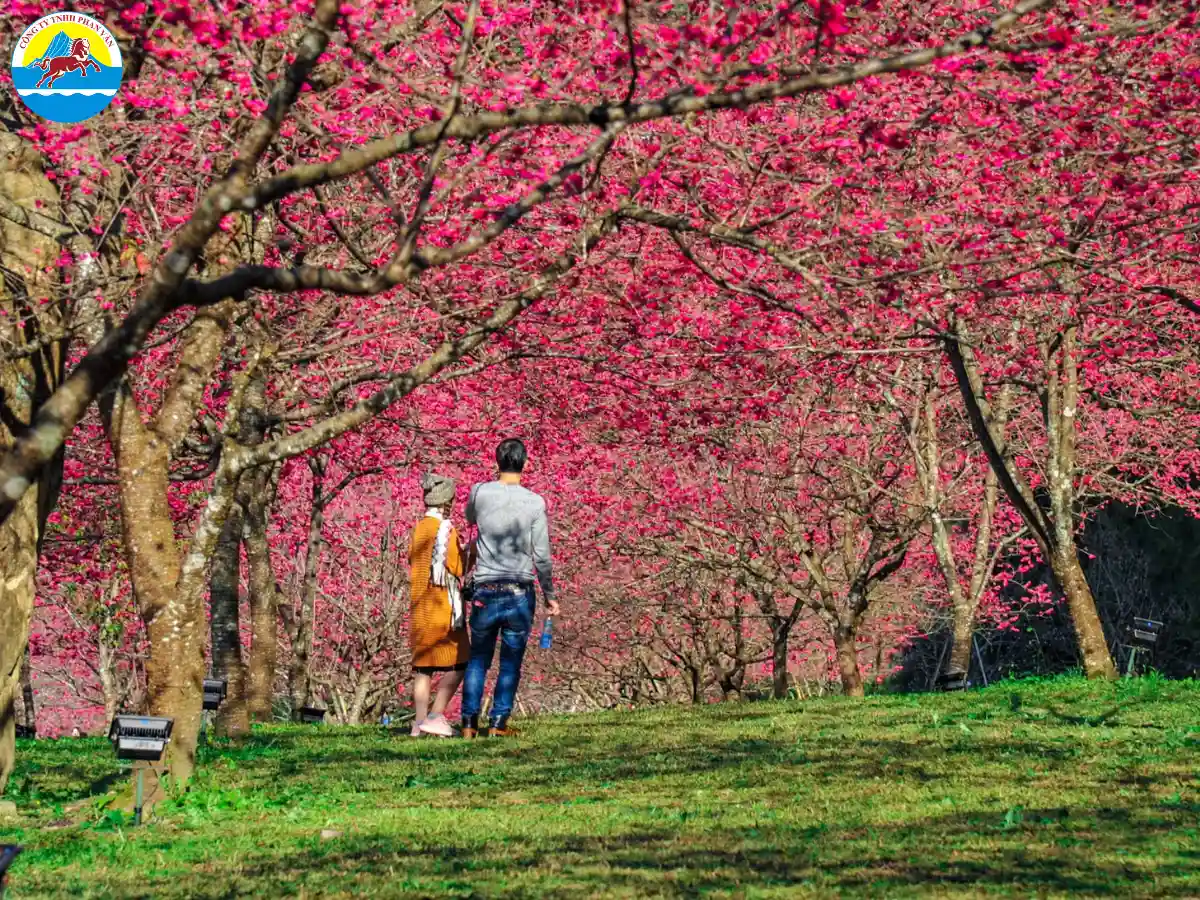 Phan Văn Travel là đơn vị lữ hành có kinh nghiệm tổ chức tour du lịch Đài Loan tháng 1 nhiều năm