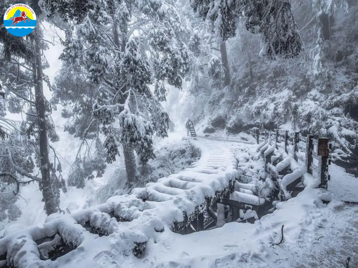 Đài Loan tháng 12 ghi dấu sự chuyển mùa sang đông