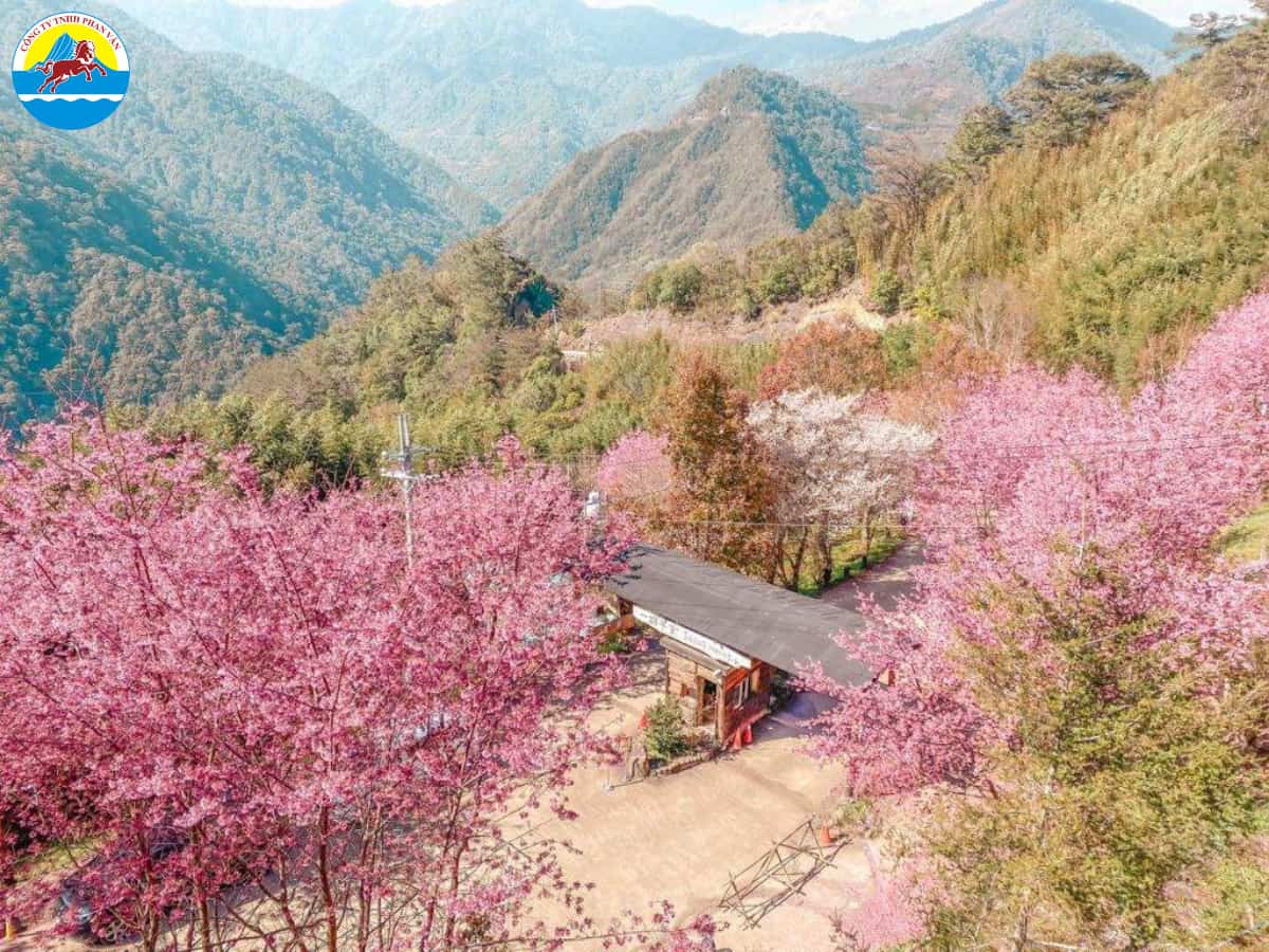 Thời tiết Đài Loan tháng 3 có khí hậu mát mẻ, ôn hòa