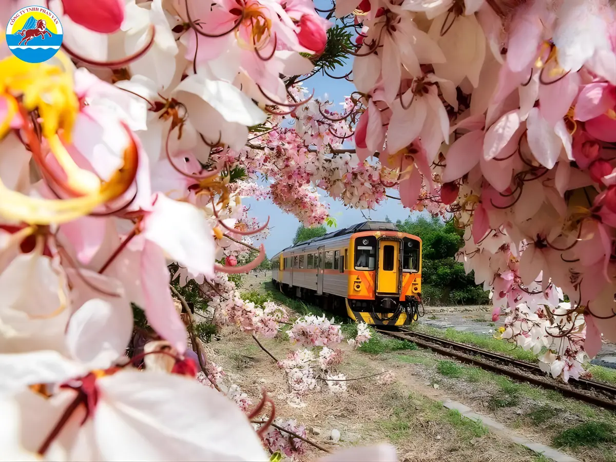 Tàu hỏa thông thường, Tàu Tốc hành (MRT) và Tàu Cao tốc (HSR) là các phương tiện phổ biến