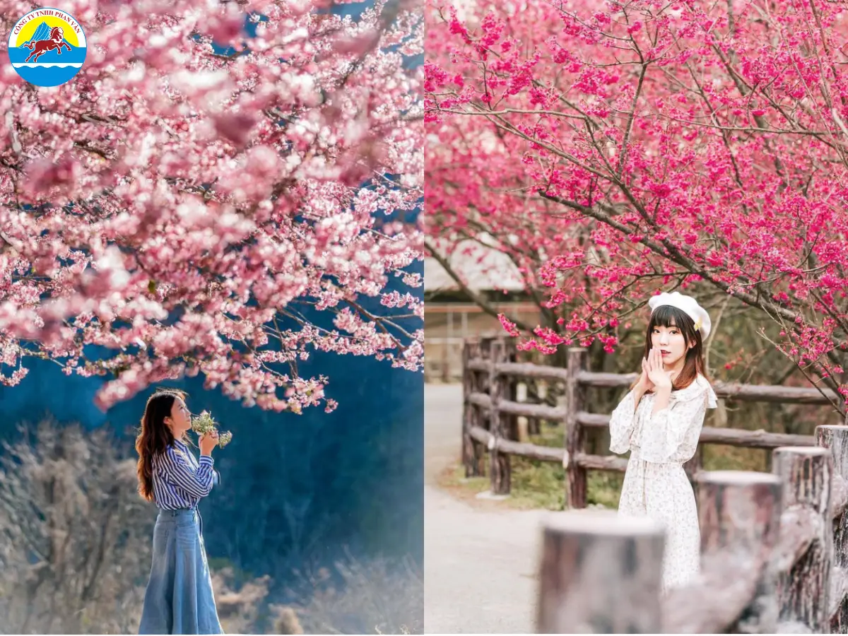 Phan Văn Travel cam kết mang đến trải nghiệm khám phá Đài Loan đáng nhớ