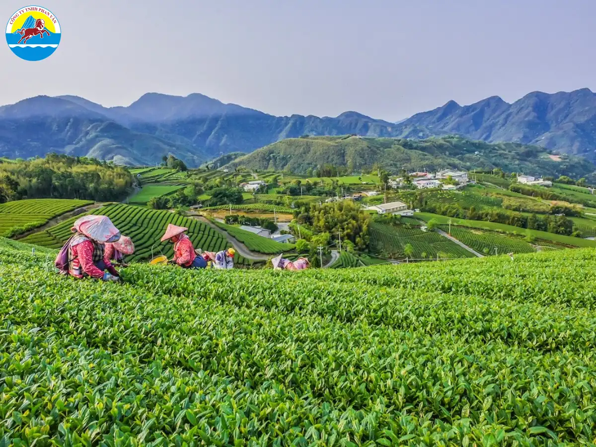 Núi Alishan