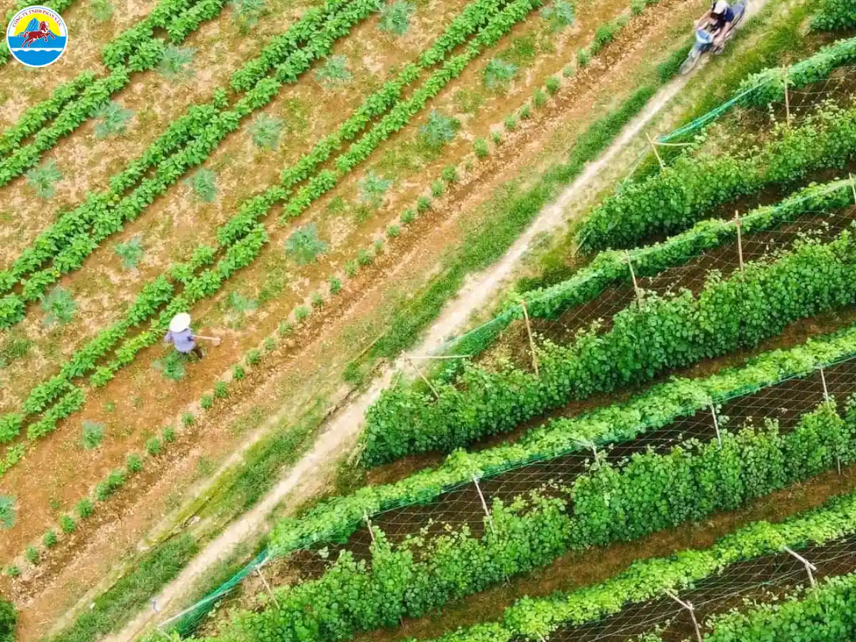 địa điểm du lịch ở đại lộc