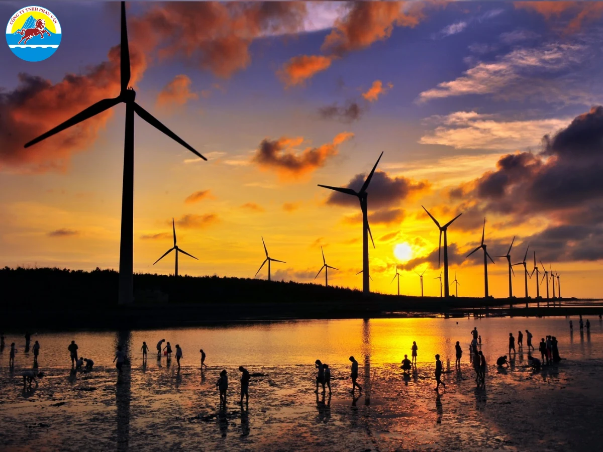 Đầm Lầy Cao Mỹ