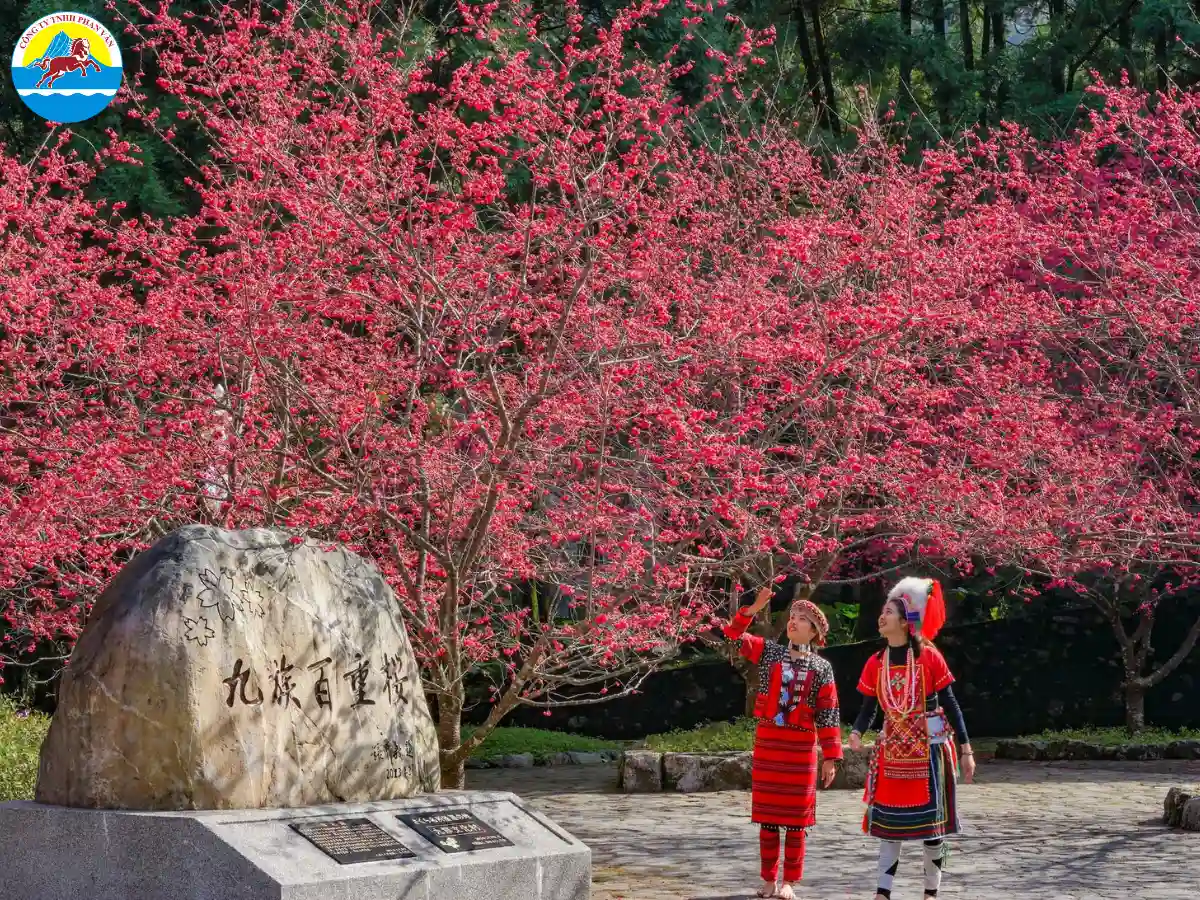 Phan Văn Travel mang đến các tour được thiết kế riêng với lịch trình đa dạng