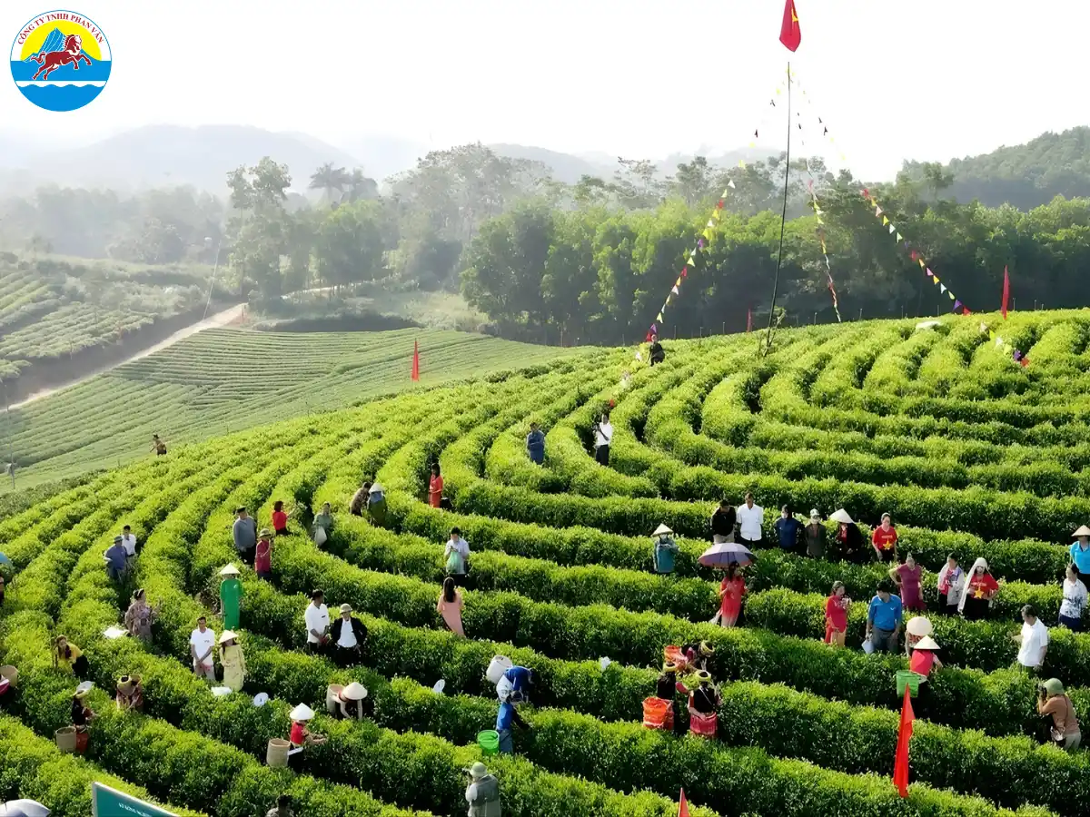 du lịch Đại Từ Thái Nguyên