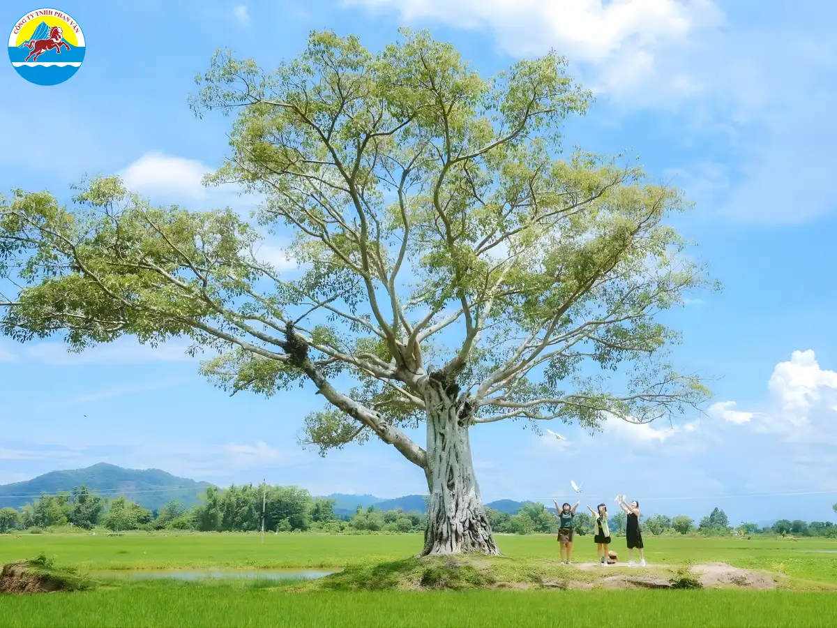 Hồ Lắk