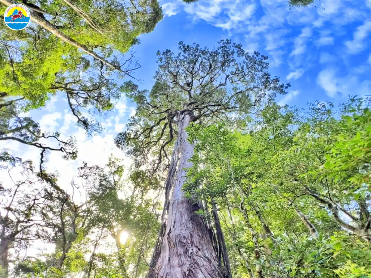 điểm du lịch đắk lắk