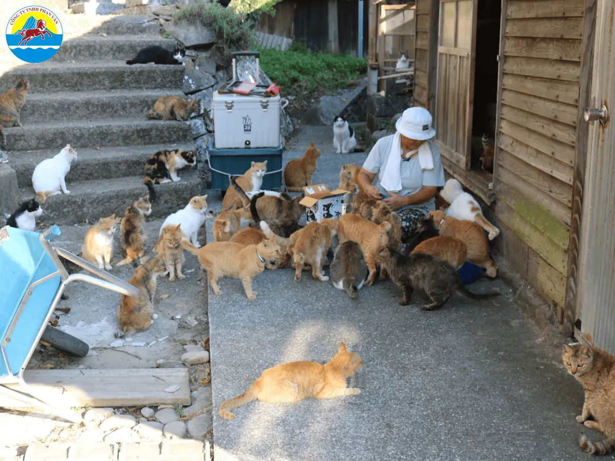 Đảo Enoshima
