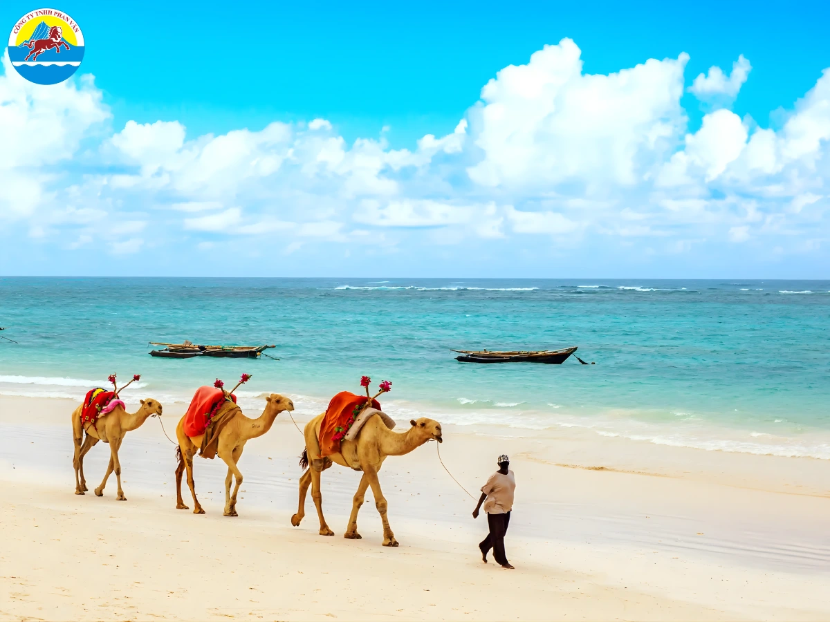 du lịch Djibouti​