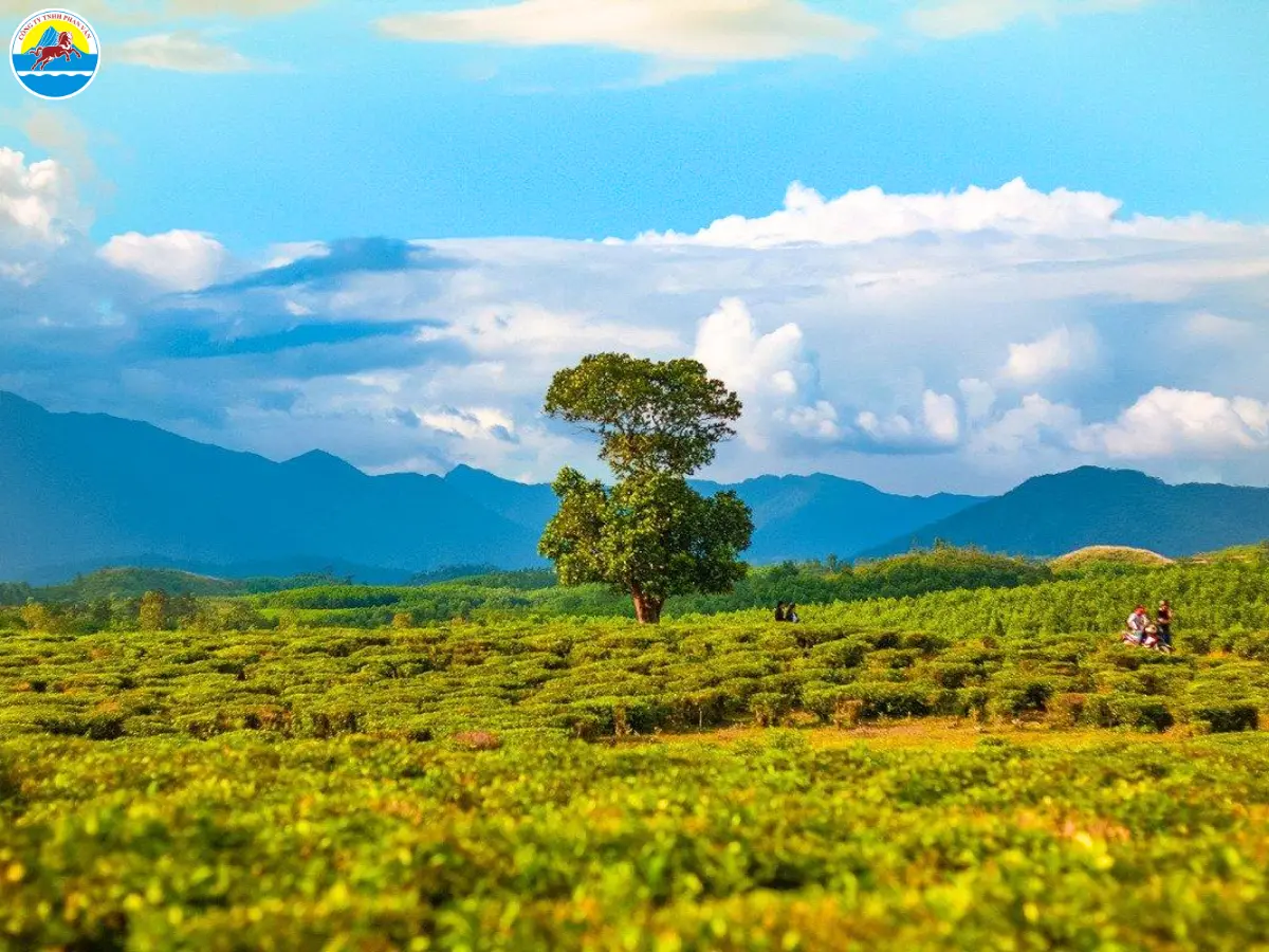đông giang quảng nam có gì​