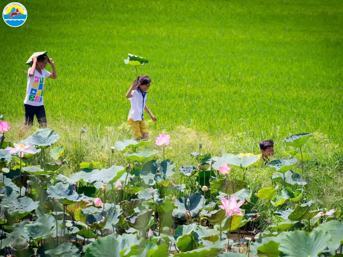du lịch đồng tháp 1 ngày