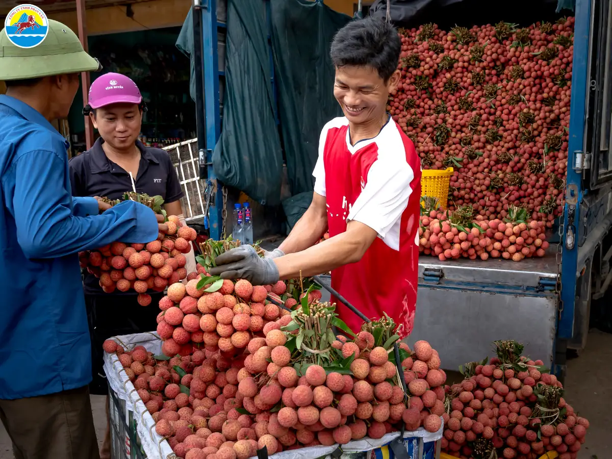 du lịch đồng tháp 2 ngày 1 đêm