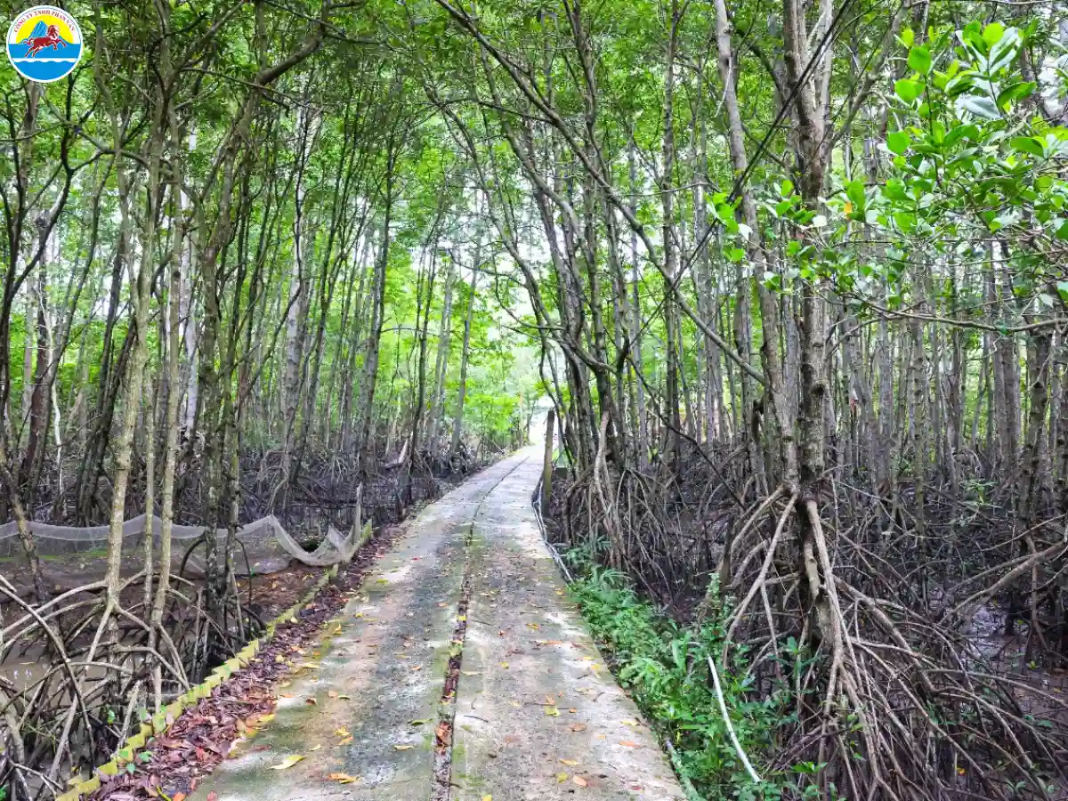 du lịch duyên hải trà vinh