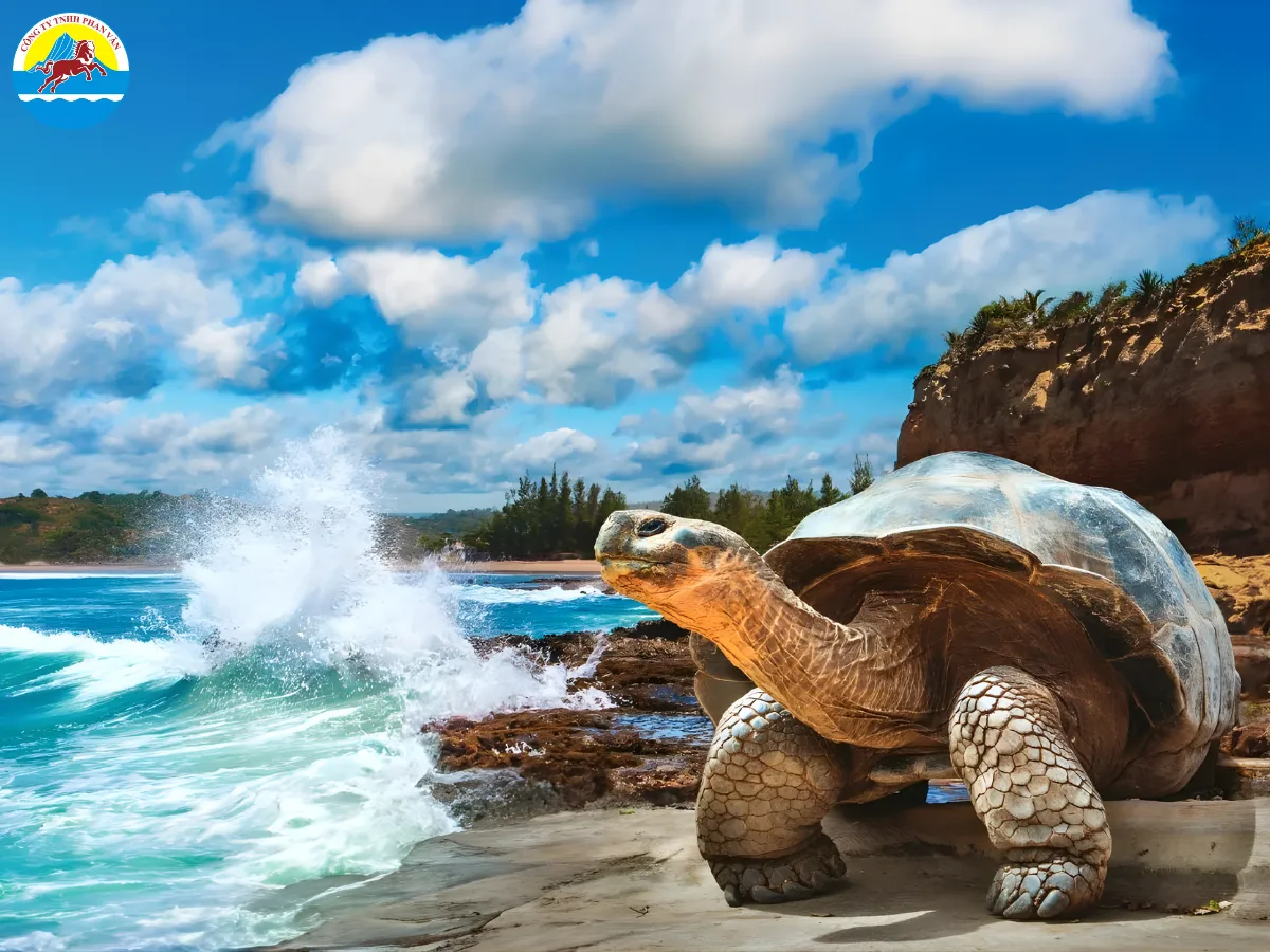 Quần đảo Galápagos