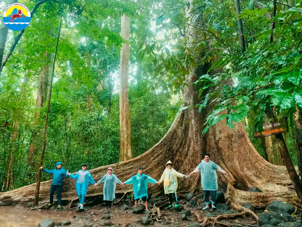 Nam Cát Tiên