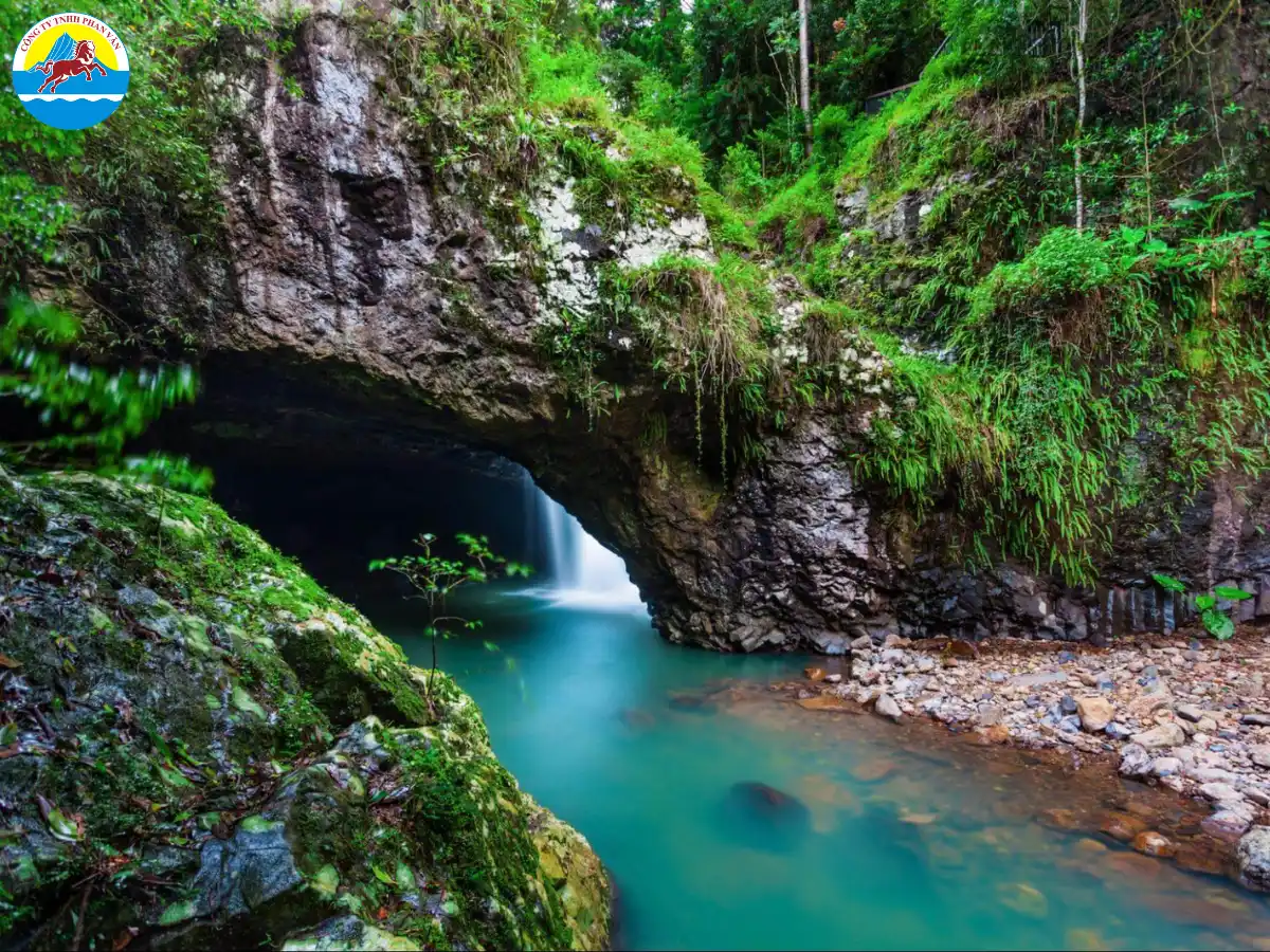 Vườn quốc gia Springbrook