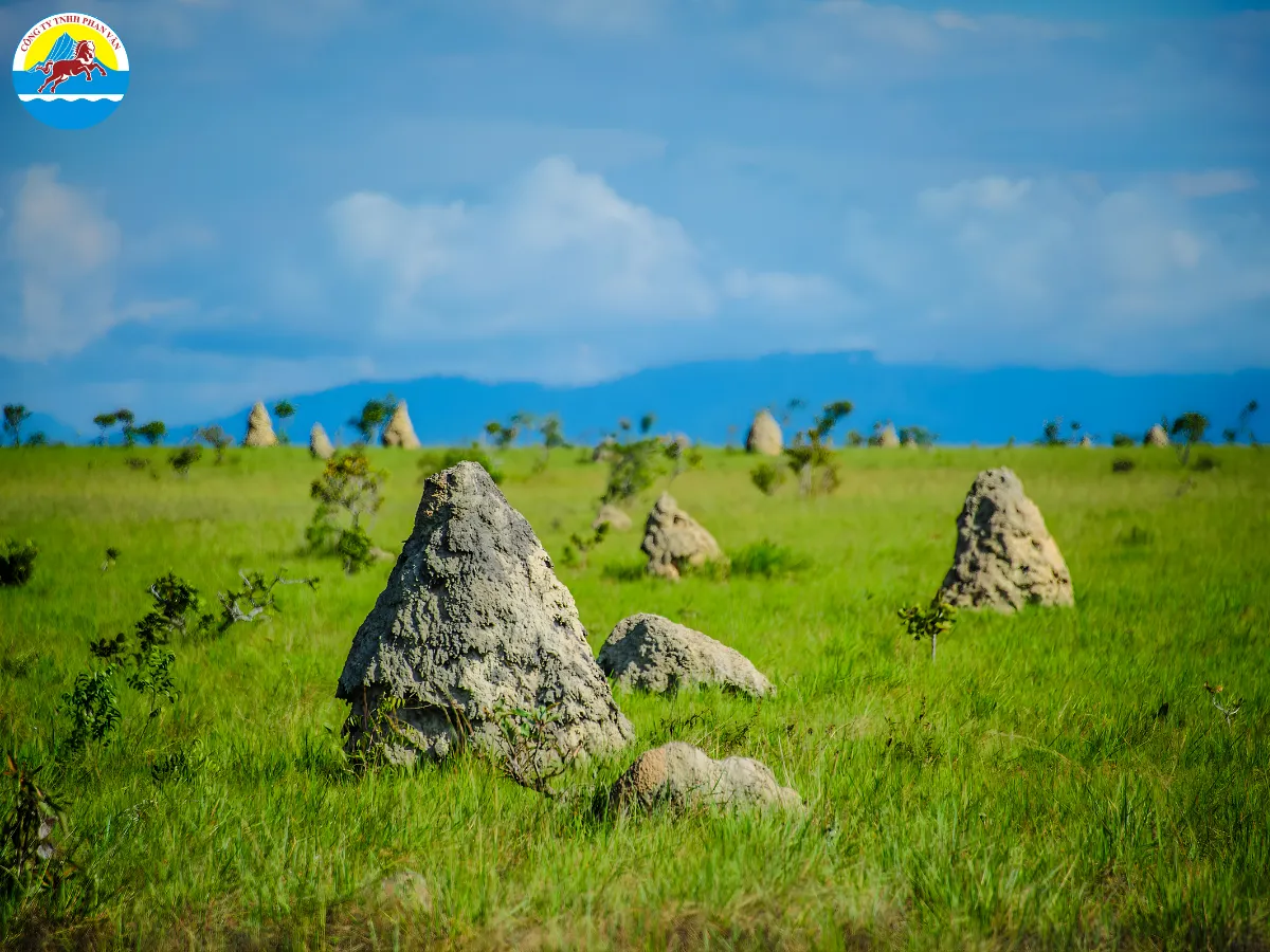 Thảo nguyên Rupununi