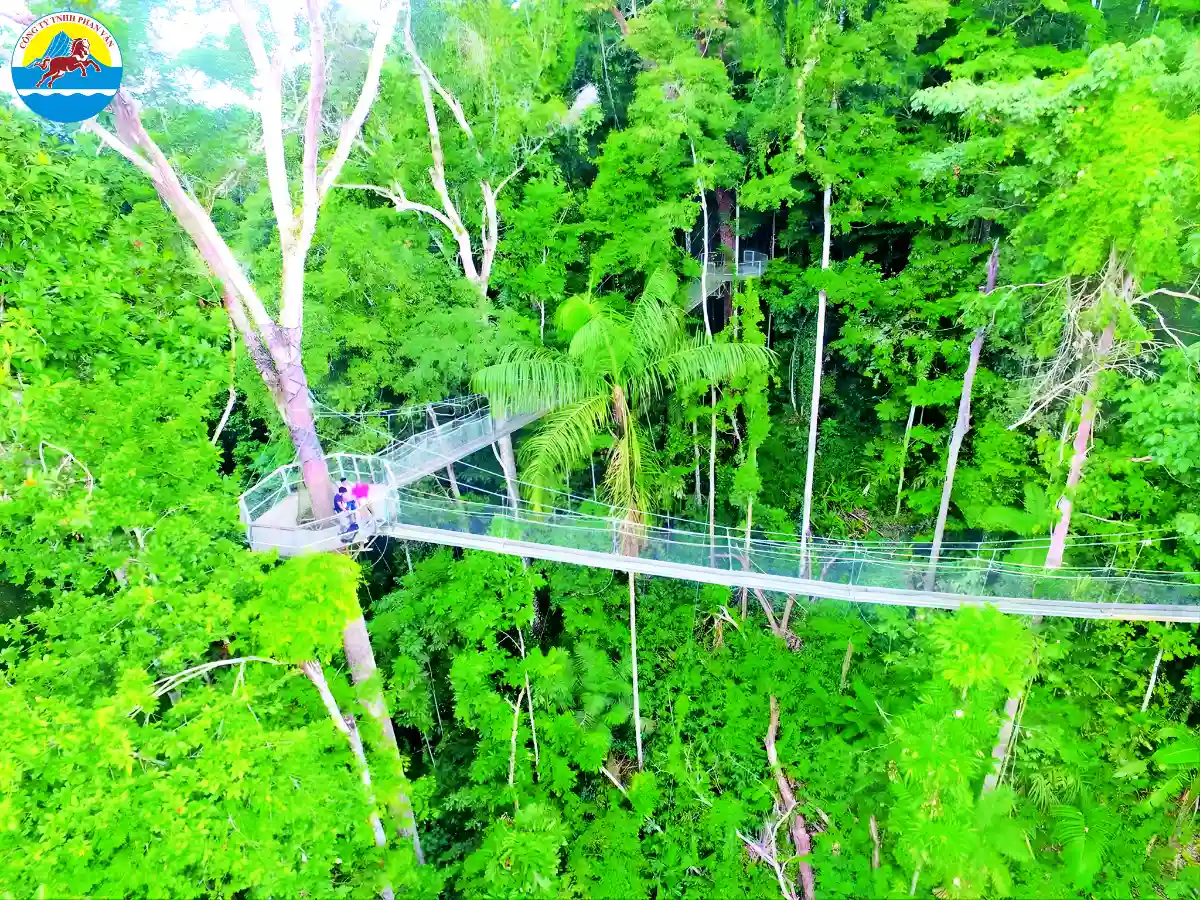 Khu bảo tồn rừng Iwokrama