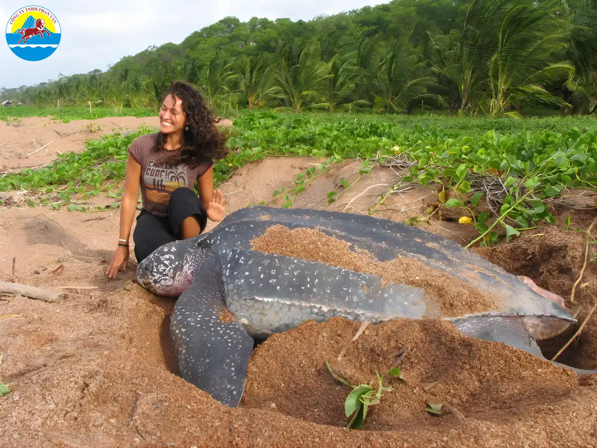 Bãi biển Shell