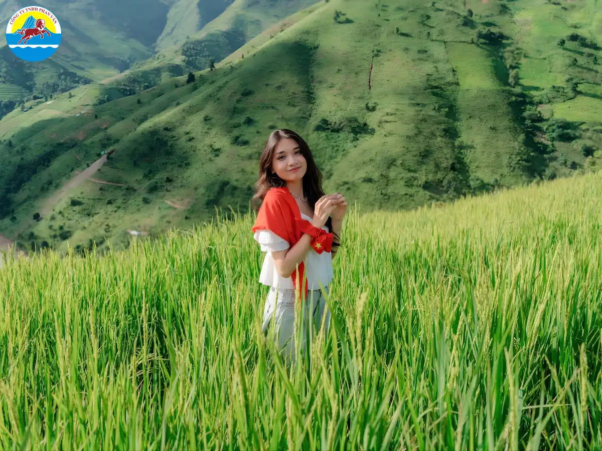 Ruộng bậc thang Hồ Thầu