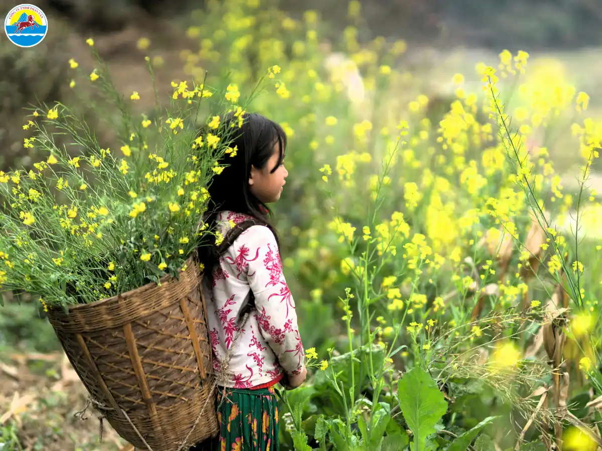 du lịch hà giang tháng nào đẹp nhất