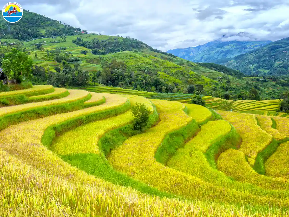 du lịch hà giang tháng nào đẹp nhất​