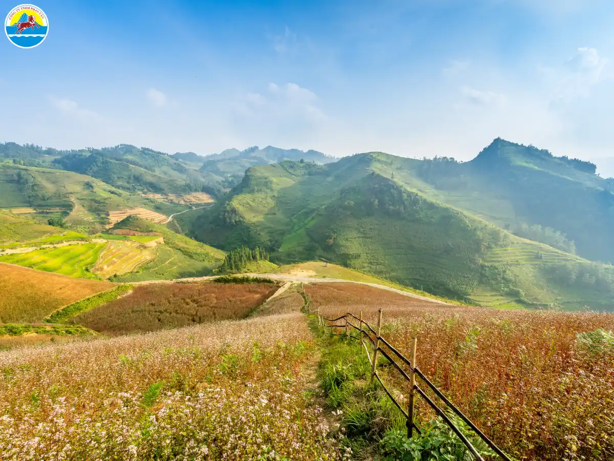 kinh nghiệm du lịch hà giang​