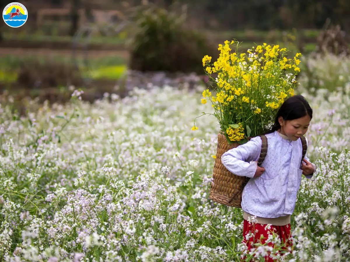 kinh nghiệm đi du lịch hà giang​