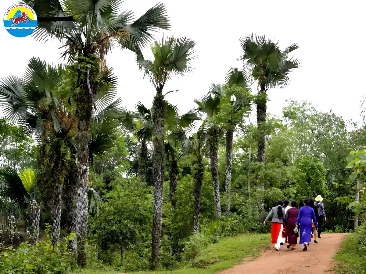 Vườn cọ Gia Điền