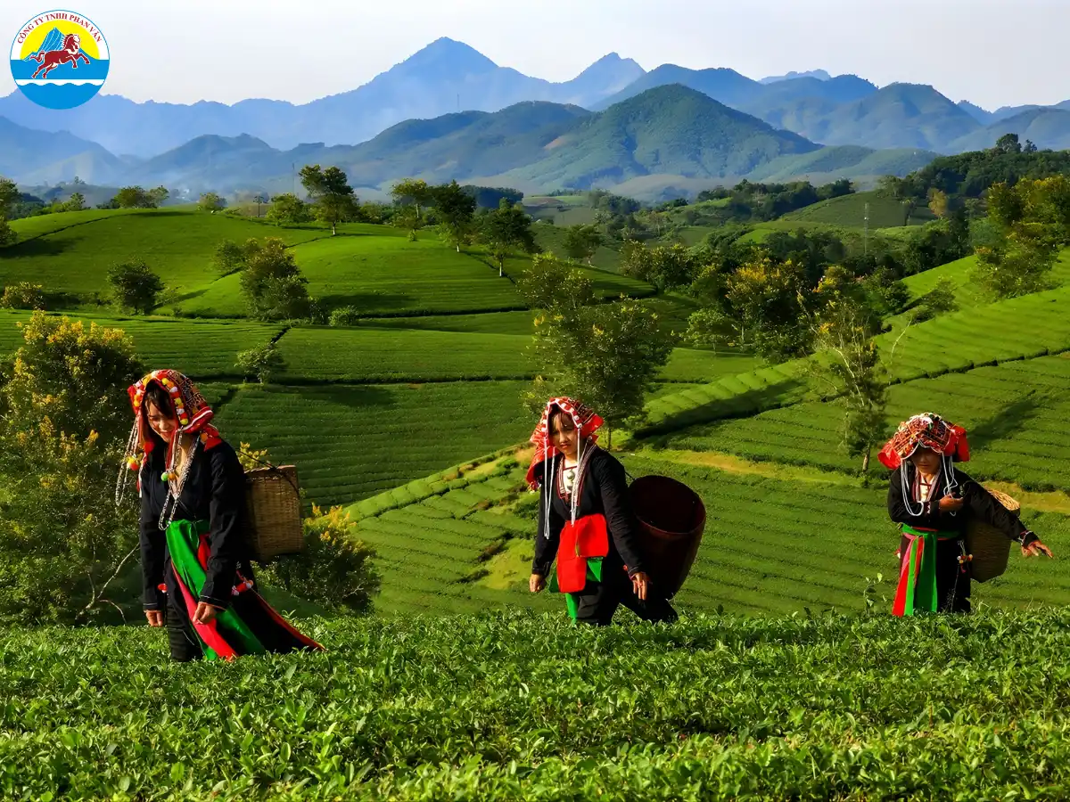 du lịch Hạ Hòa Phú Thọ