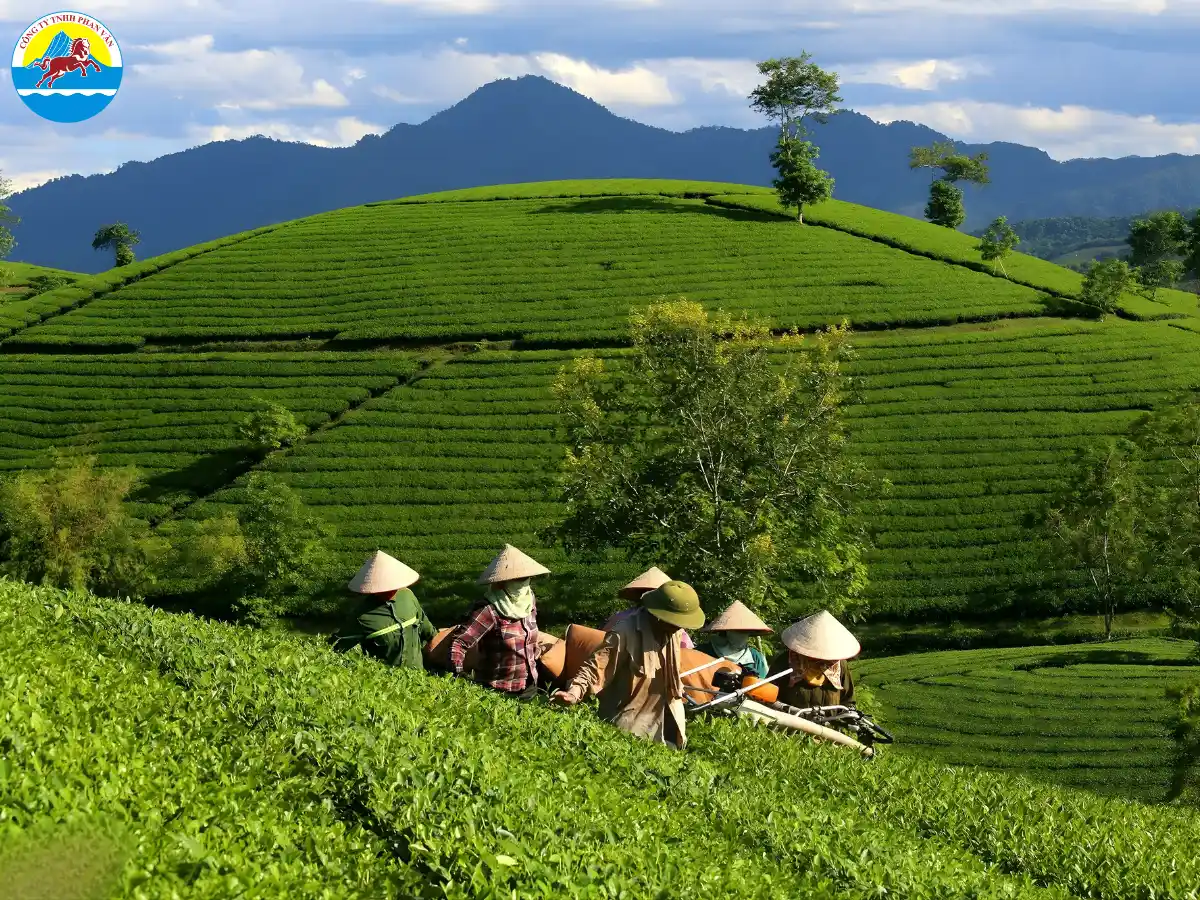 du lịch Hạ Hòa Phú Thọ