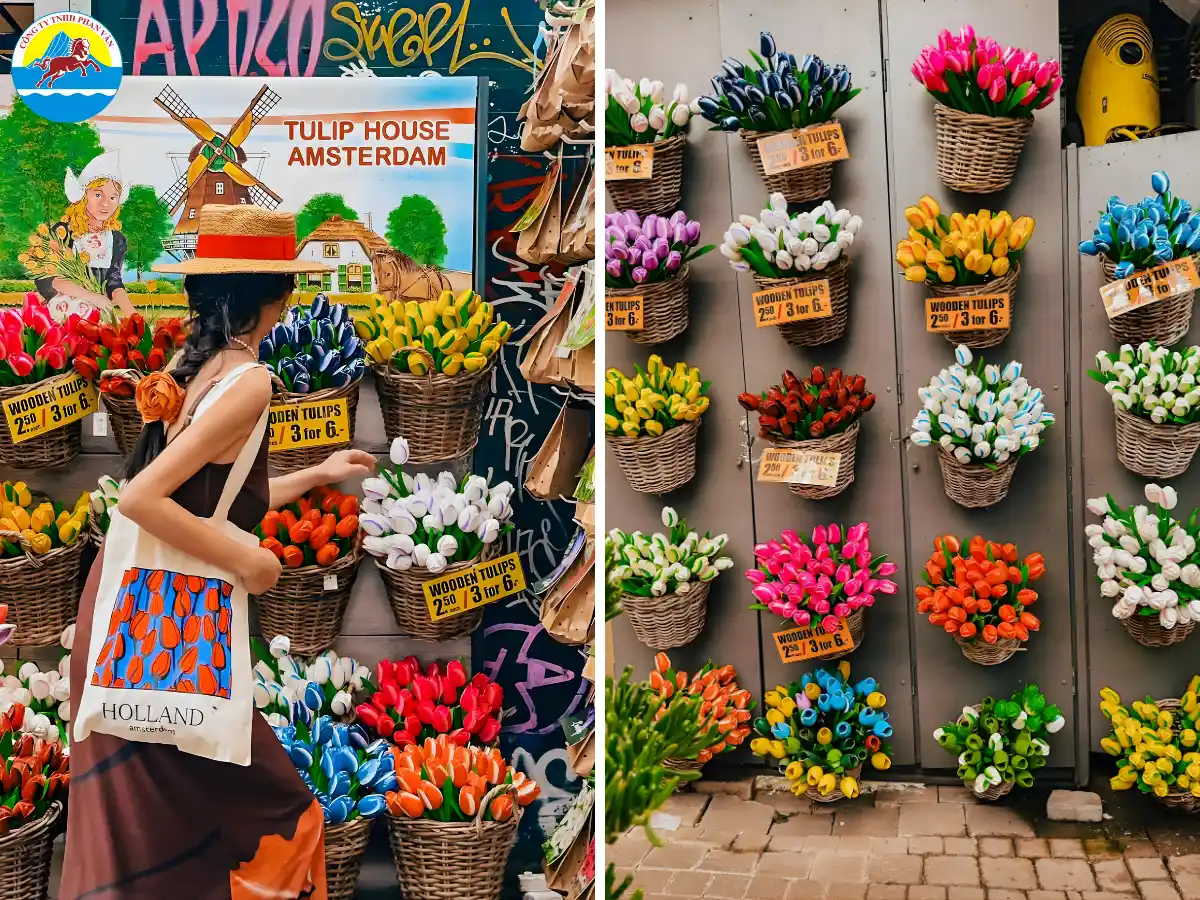 Các sản phẩm từ hoa tulip (Tulip-Themed Products)