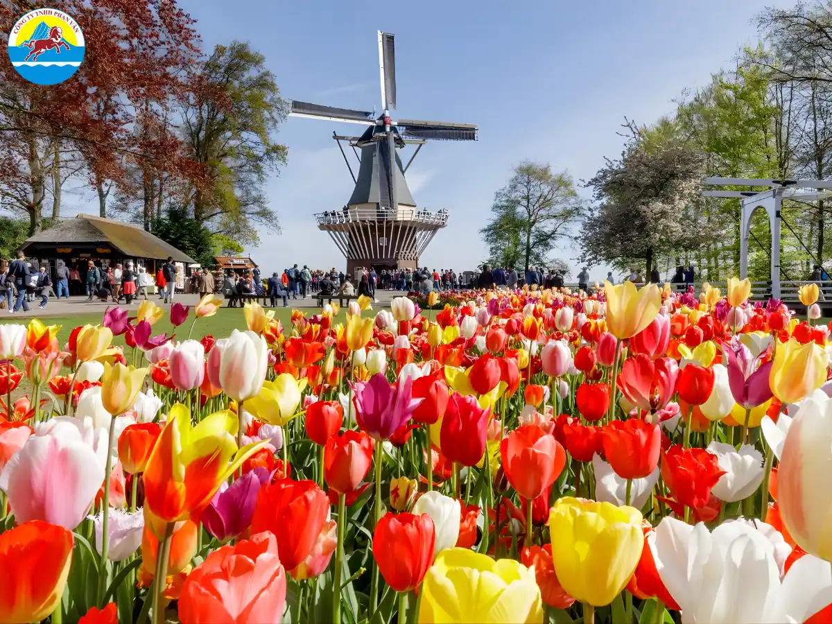 Vườn Hoa Keukenhof