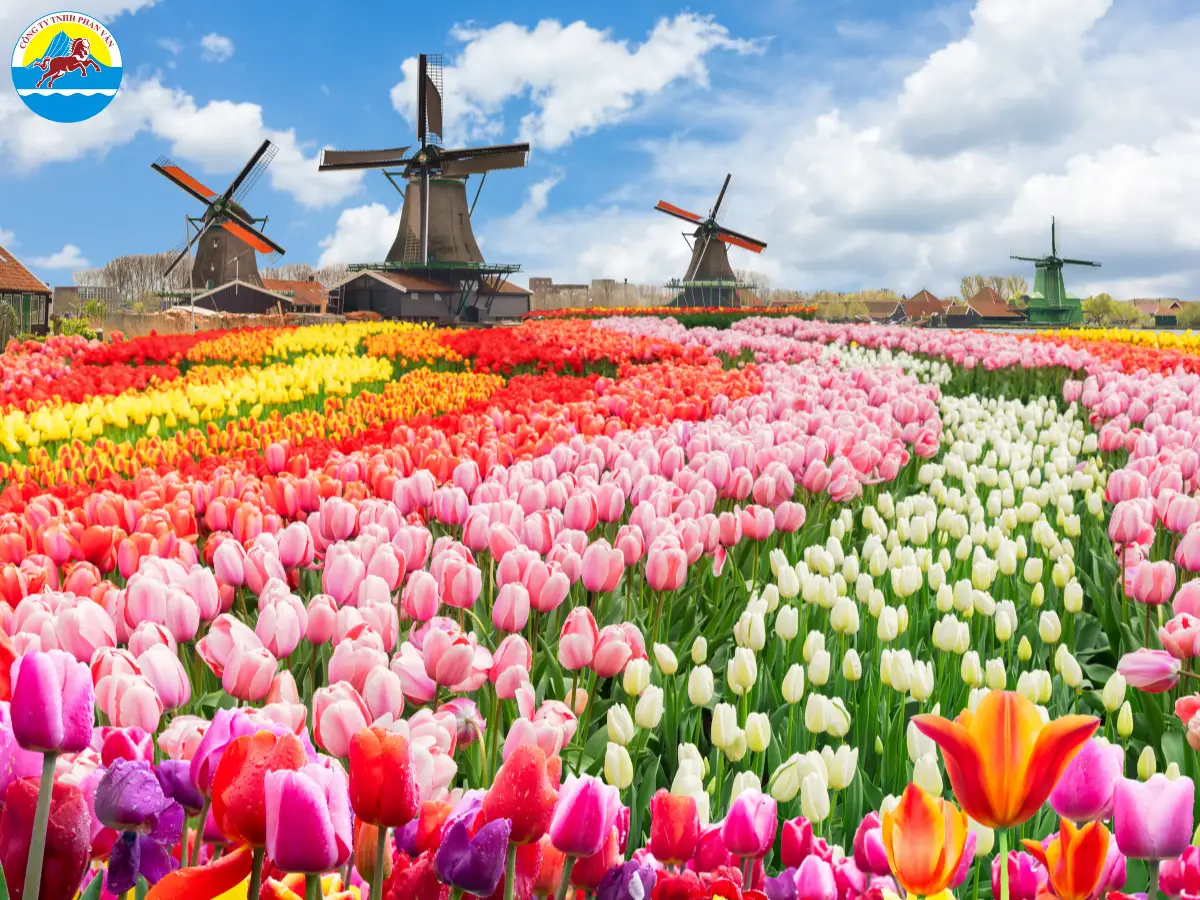 Vùng Kop van Noord-Holland