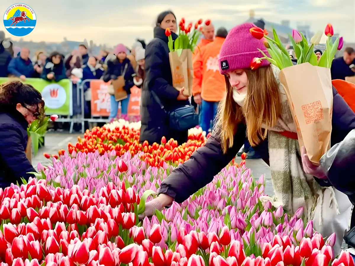 Tháng 4 là mùa du lịch cao điểm tại Hà Lan