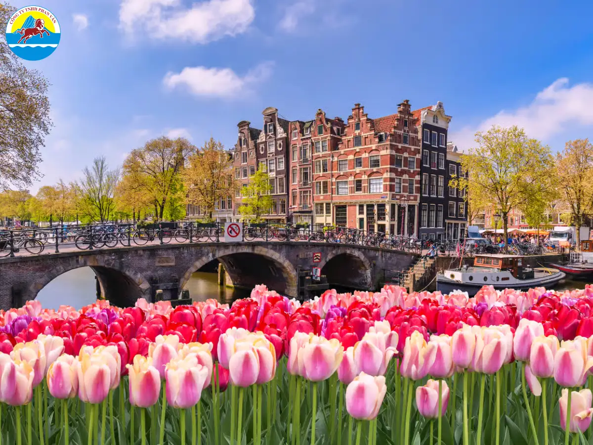 Phan Văn Travel mang đến các tour du lịch Hà Lan tháng 4​ hấp dẫn