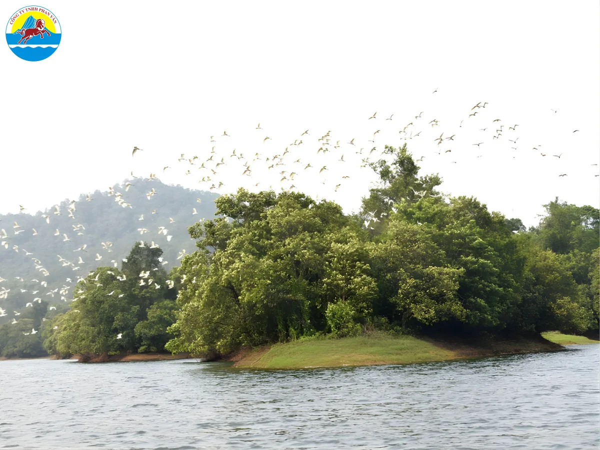 du lịch Hải Hà Quảng Ninh​