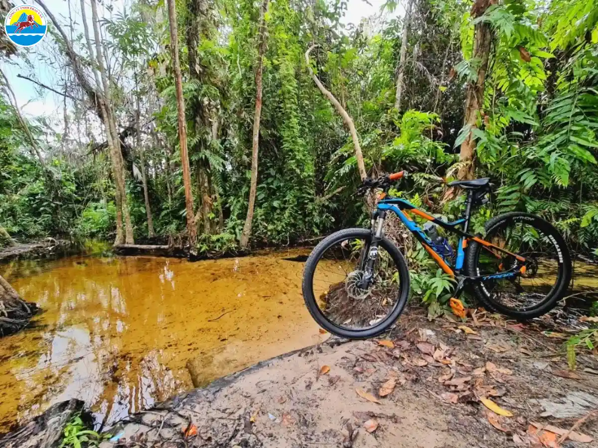 hàm thuận nam có gì chơi