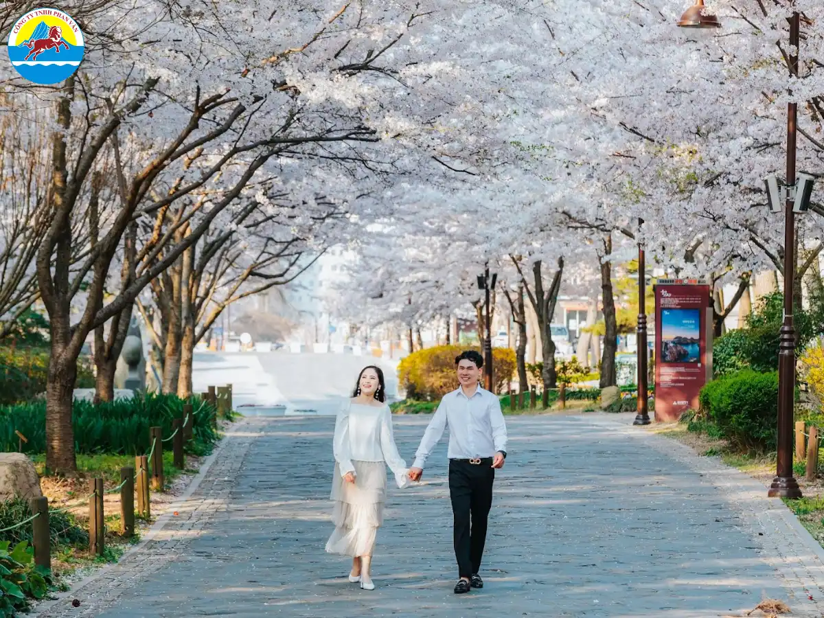 Công dân Việt Nam muốn đi du lịch Hàn Quốc thường phải xin visa