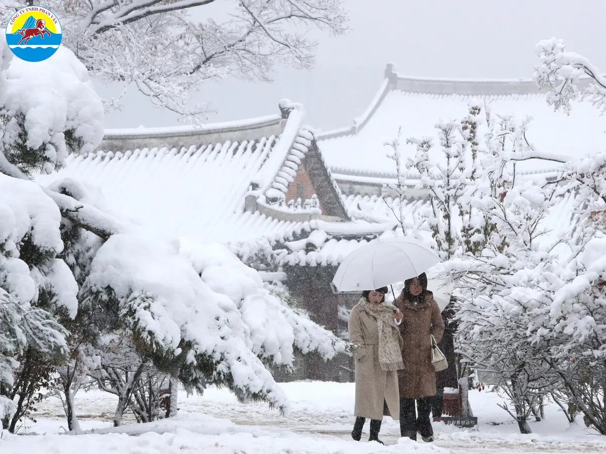 Khung cảnh mùa đông tuyết trắng lãng mạn