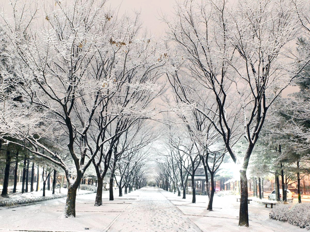 du lịch mùa đông ở hàn quốc