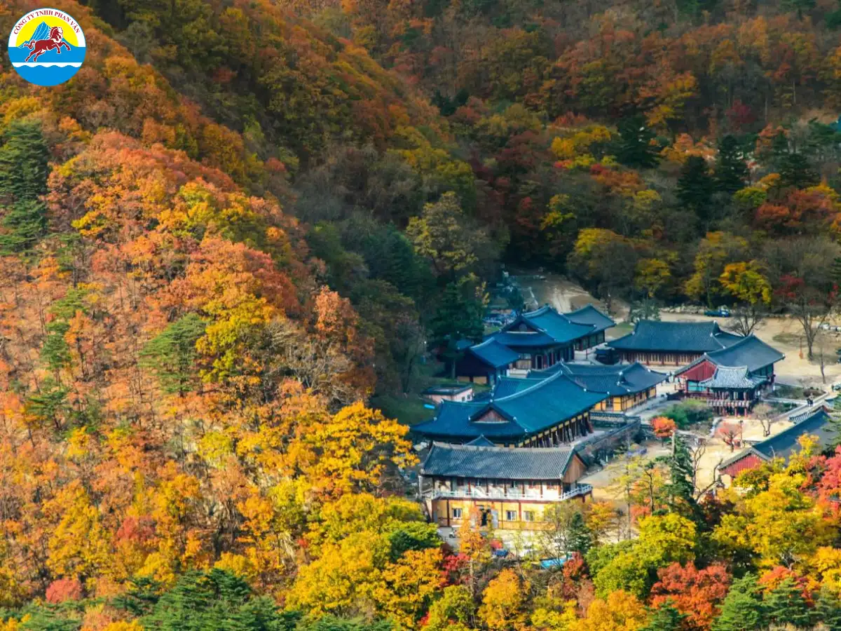 Lựa chọn tour du lịch trọn gói là một giải pháp hiệu quả để tối ưu hóa chuyến đi