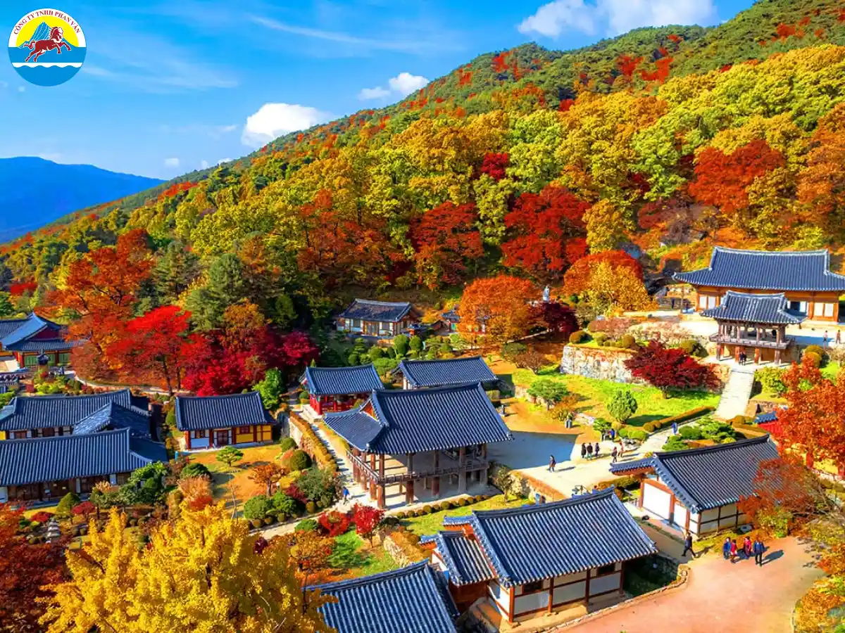 Phan Văn Travel là người bạn đồng hành đáng tin cậy