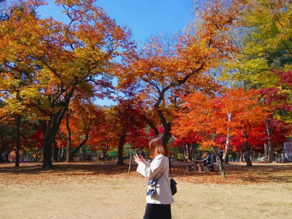 du-lich-han-quoc-mua-thu-phan-van-travel-1