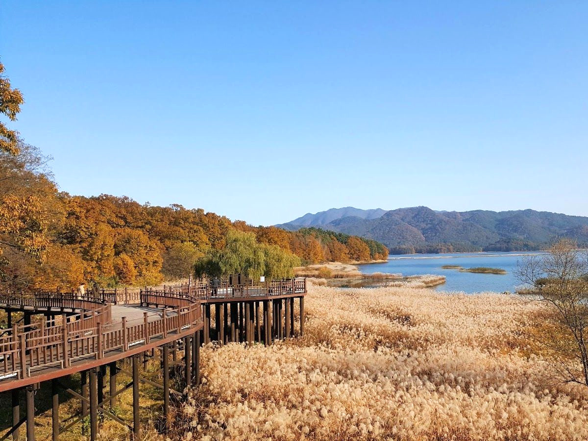 du lịch hàn quốc vào mùa xuân