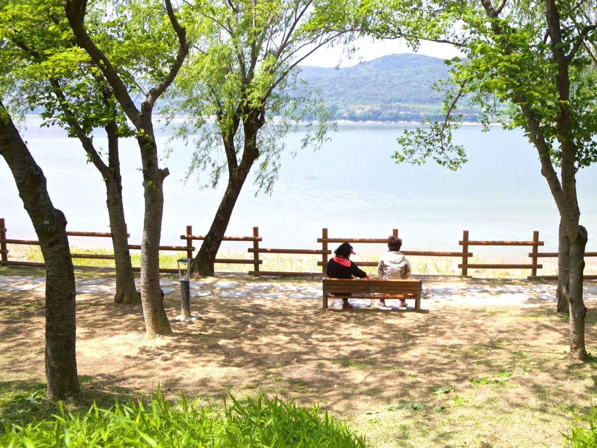 địa điểm du lịch hàn quốc mùa xuân