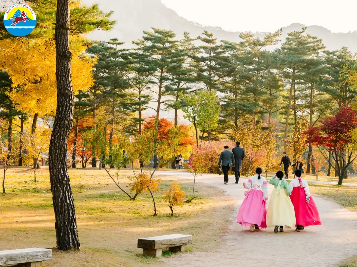 Một trong những ưu điểm lớn nhất khi du lịch Hàn Quốc tháng 10 là thời tiết